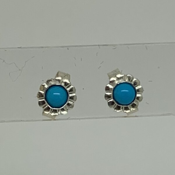 /Sleeping Beauty Turquoise Stud Earrings