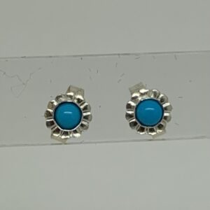 /Sleeping Beauty Turquoise Stud Earrings